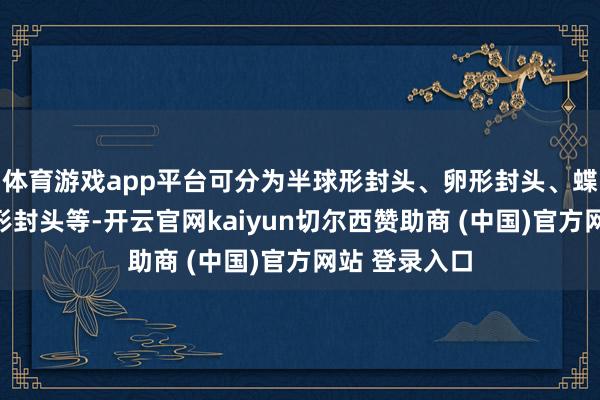 体育游戏app平台可分为半球形封头、卵形封头、蝶形封头、锥形封头等-开云官网kaiyun切尔西赞助商 (中国)官方网站 登录入口