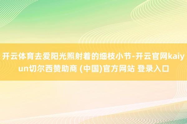 开云体育去爱阳光照射着的细枝小节-开云官网kaiyun切尔西赞助商 (中国)官方网站 登录入口