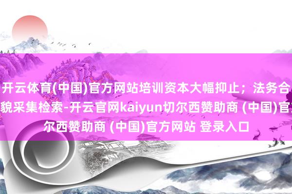 开云体育(中国)官方网站培训资本大幅抑止；法务合规条约与战略礼貌采集检索-开云官网kaiyun切尔西赞助商 (中国)官方网站 登录入口