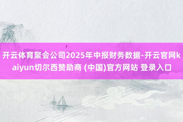 开云体育聚会公司2025年中报财务数据-开云官网kaiyun切尔西赞助商 (中国)官方网站 登录入口