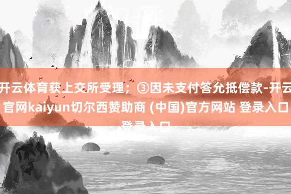 开云体育获上交所受理；③因未支付答允抵偿款-开云官网kaiyun切尔西赞助商 (中国)官方网站 登录入口