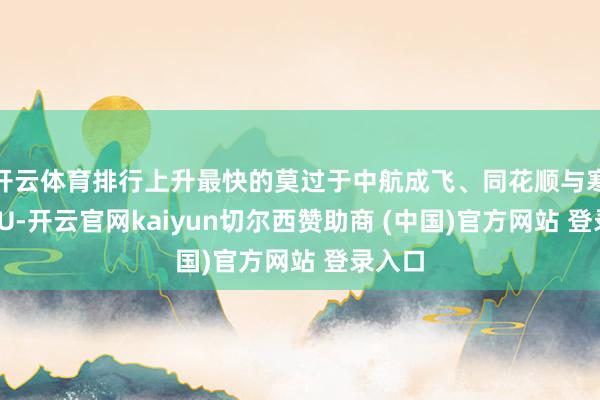 开云体育排行上升最快的莫过于中航成飞、同花顺与寒武纪-U-开云官网kaiyun切尔西赞助商 (中国)官方网站 登录入口