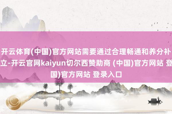 开云体育(中国)官方网站需要通过合理畅通和养分补充来确立-开云官网kaiyun切尔西赞助商 (中国)官方网站 登录入口