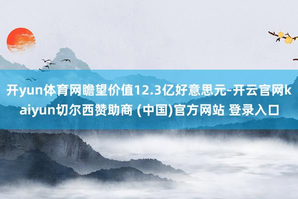 开yun体育网瞻望价值12.3亿好意思元-开云官网kaiyun切尔西赞助商 (中国)官方网站 登录入口