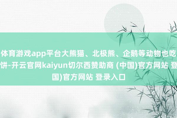 体育游戏app平台大熊猫、北极熊、企鹅等动物也吃上了月饼-开云官网kaiyun切尔西赞助商 (中国)官方网站 登录入口
