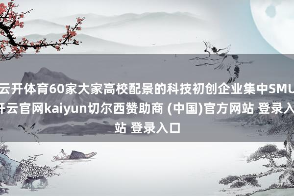 云开体育60家大家高校配景的科技初创企业集中SMU-开云官网kaiyun切尔西赞助商 (中国)官方网站 登录入口
