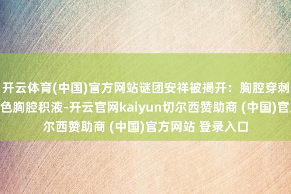 开云体育(中国)官方网站谜团安祥被揭开:胸腔穿刺引流抽出浅棕黄色胸腔积液-开云官网kaiyun切尔西赞助商 (中国)官方网站 登录入口