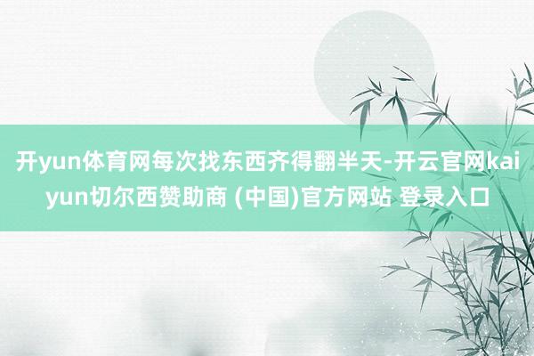 开yun体育网每次找东西齐得翻半天-开云官网kaiyun切尔西赞助商 (中国)官方网站 登录入口