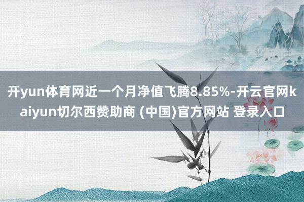 开yun体育网近一个月净值飞腾8.85%-开云官网kaiyun切尔西赞助商 (中国)官方网站 登录入口